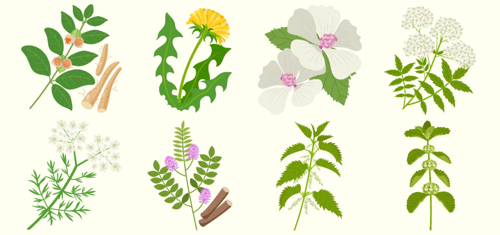 Icons for eight new herbal plants in Planter